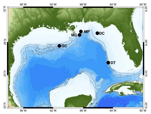 location_sites_enregistrements_dauphins
